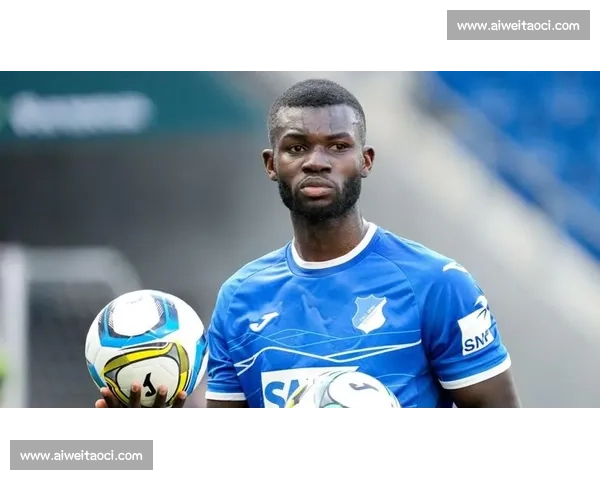 霍芬海姆对阵顿涅茨克矿工强强对话欧战焦点之夜前瞻比赛分析走势看点